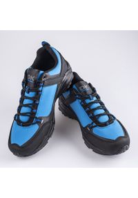 Męskie buty trekkingowe DK niebieskie czarne. Kolor: czarny. Materiał: materiał #3