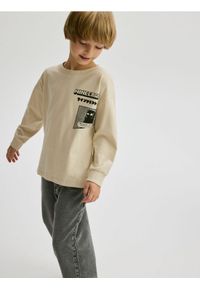 Reserved - Longsleeve Minecraft - jasnoszary. Kolor: szary. Materiał: dzianina, bawełna. Długość rękawa: długi rękaw #1