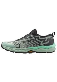 Buty do biegania męskie Mizuno Wave Daichi 8. Zapięcie: sznurówki. Kolor: wielokolorowy. Materiał: materiał, tkanina, syntetyk. Szerokość cholewki: normalna. Model: Mizuno Wave. Sport: bieganie
