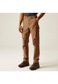 Regatta - Spodnie męskie cargo Questra. Kolor: brązowy. Sezon: lato. Sport: turystyka piesza #1
