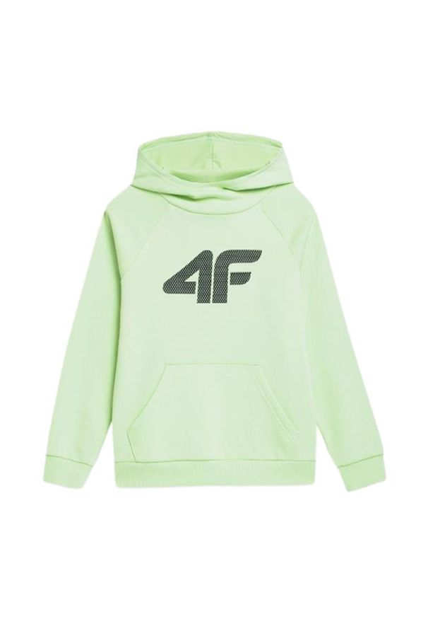 4f - odzież Dziecięce 4F. Kolor: zielony