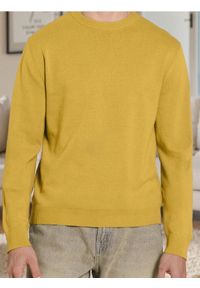 Sinsay - Sweter z długim rękawem - żółty. Kolor: żółty. Długość rękawa: długi rękaw. Długość: długie