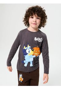 Sinsay - Bawełniana koszulka z nadrukiem Bluey - szary. Kolor: szary. Materiał: bawełna. Wzór: nadruk #1