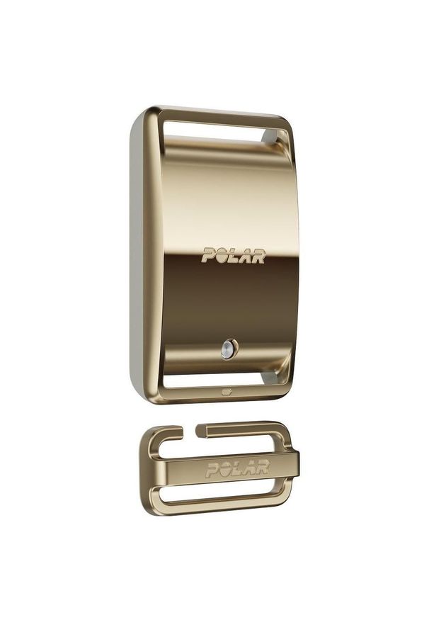 POLAR - Polar Loop szaro-złoty S-L. Kolor: szary, złoty, wielokolorowy. Materiał: polar