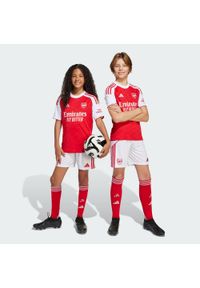 Adidas - Szorty Arsenal 25/26 Home Kids. Kolor: biały, czerwony, wielokolorowy