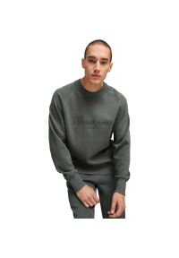 Bluza Puma Sweatshirt Classics, Mężczyźni. Kolor: zielony. Materiał: materiał, bawełna. Sport: fitness