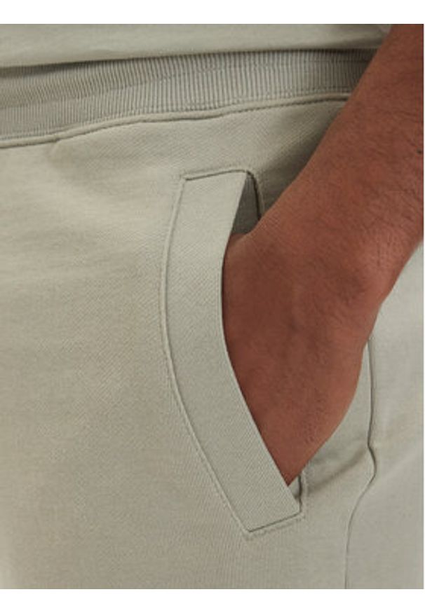 Hugo - HUGO Szorty sportowe Diz222 50466196 Zielony jasny Regular Fit. Kolor: zielony. Materiał: bawełna. Styl: sportowy