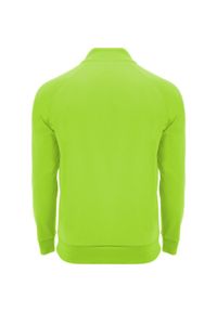 ROLY - Dziecięca/niemowlęca Bluza Z Długim Rękawem Epiro Quarter Zip. Kolor: żółty, wielokolorowy, zielony. Długość rękawa: długi rękaw. Długość: długie