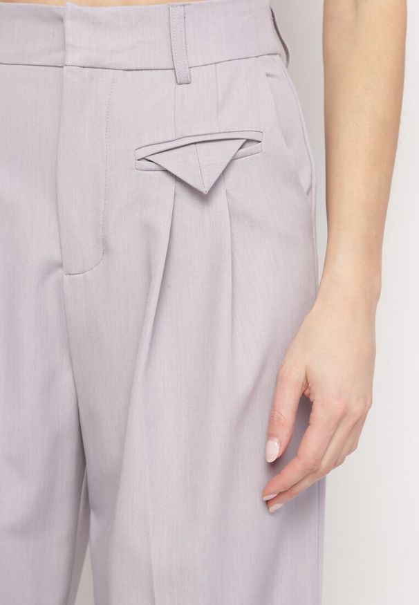 Born2be - Szare Eleganckie Spodnie w Garniturowym Stylu z Zakładkami Illthai. Kolor: szary. Styl: elegancki