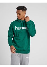 Bluza do piłki ręcznej męska Hummel Cotton Logo z kapturem. Typ kołnierza: kaptur. Kolor: zielony, biały, wielokolorowy