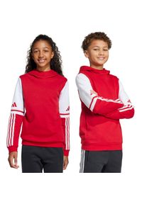 Adidas - Bluza dla dzieci adidas Squadra 25 Sweat Hoody. Kolor: biały, czerwony, wielokolorowy