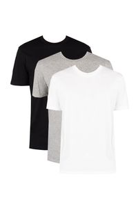 Champion T-Shirt "3-Pack" | 215965 | Mężczyzna | Czarny, Biały, Szary. Okazja: na co dzień. Kolor: czarny, biały, szary, wielokolorowy. Materiał: bawełna. Długość rękawa: krótki rękaw. Wzór: nadruk. Styl: casual, elegancki