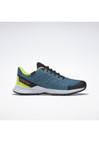 Buty męskie sportowe turystyczne trekkingowe Reebok ASTRORIDE TRAIL GTX. Kolor: biały, wielokolorowy, niebieski, czarny