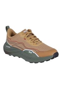 Buty do chodzenia męskie Teva Trailwinder Low 2024. Zapięcie: sznurówki. Kolor: brązowy. Materiał: syntetyk, tkanina, materiał. Szerokość cholewki: normalna. Sport: turystyka piesza