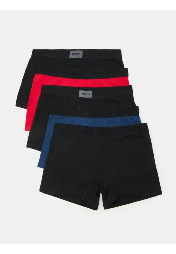 Sinsay - Bokserki 5 pack - wielobarwny