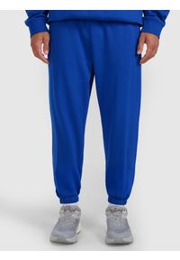 4f - 4F Spodnie dresowe joggery męskie - niebieskie XL. Kolor: niebieski. Materiał: dresówka. Wzór: gładki, ze splotem #2