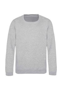 AWDIS - Bluza Dziecięca Just Hoods. Kolor: szary