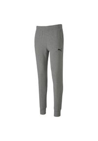 Spodnie dresowe męskie Puma teamGOAL. Kolor: szary. Materiał: dresówka. Sport: piłka nożna #1