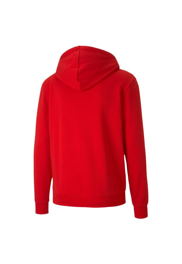 Bluza męska Puma teamGOAL 23 Casuals Hooded Jacket czerwona. Typ kołnierza: kaptur. Kolor: czerwony. Sport: piłka nożna