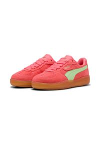Puma Buty Palermo Moda Xtra Gum 40032305. Kolor: różowy. Materiał: guma. Sezon: lato. Sport: turystyka piesza #1
