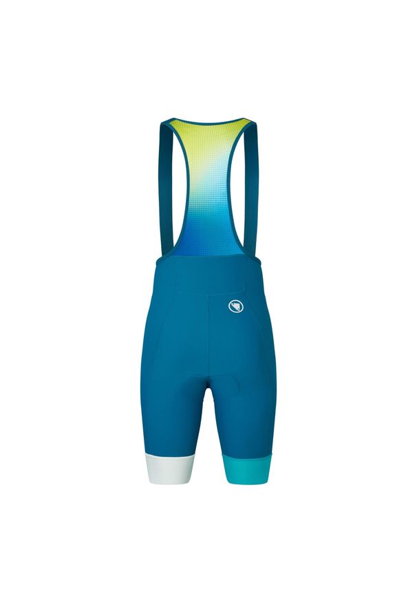 ENDURA - Spodenki Endura Loop. Kolor: zielony, niebieski, wielokolorowy. Długość: krótkie. Sezon: lato. Sport: kolarstwo