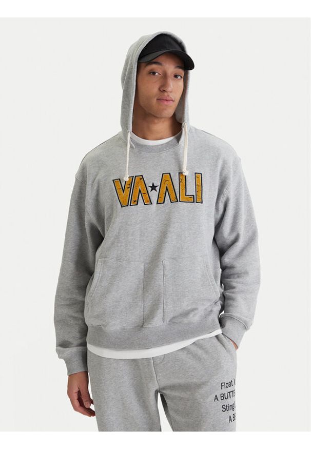 RVCA Bluza Va X Ali 23A413500 Szary Regular Fit. Kolor: szary. Materiał: bawełna