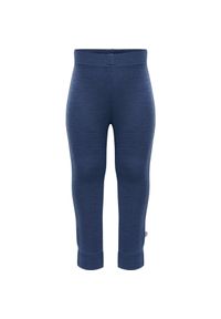 Dziecięce legginsy wełniane Hummel Mini. Kolor: niebieski. Materiał: wełna