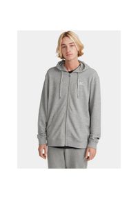 Bluza Męska O'Neill Small Logo Fz. Kolor: szary. Materiał: materiał #1
