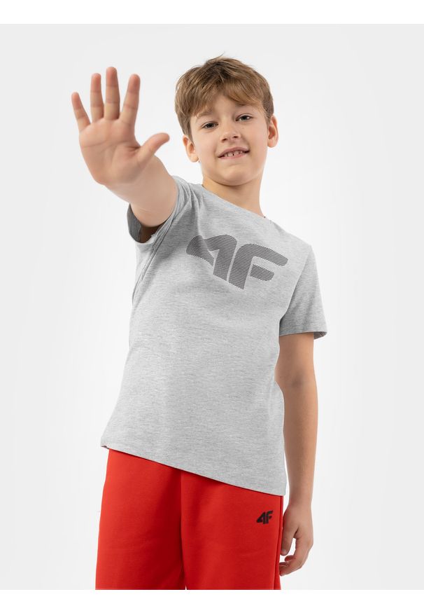 4f - 4F T-shirt z nadrukiem chłopięcy 146 (10-11 lat). Kolor: szary. Materiał: bawełna, dzianina. Wzór: nadruk. Sezon: lato