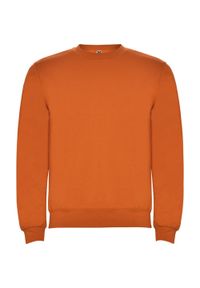 ROLY - Bluza Dziecięca Clasica Z Okrągłym Dekoltem. Kolor: żółty, pomarańczowy, wielokolorowy