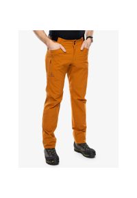 Spodnie turystyczne męskie Hannah Niguel II. Kolor: pomarańczowy. Sezon: lato. Sport: turystyka piesza