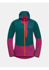 Jack Wolfskin Kurtka softshell Alpspitze Hoody 1307751 Zielony Regular Fit. Kolor: zielony. Materiał: syntetyk #7