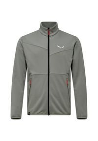 Salewa - Bluza trekkingowa męska Puez Cammino PL. Kolor: szary. Materiał: materiał