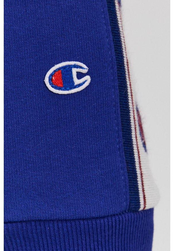 Champion - Bluza. Kolor: niebieski. Materiał: dzianina. Długość rękawa: raglanowy rękaw. Wzór: gładki, aplikacja
