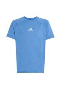 Adidas - Koszulka All Sports Favorite. Kolor: szary, niebieski, wielokolorowy. Technologia: ClimaCool (Adidas). Sport: joga i pilates #2