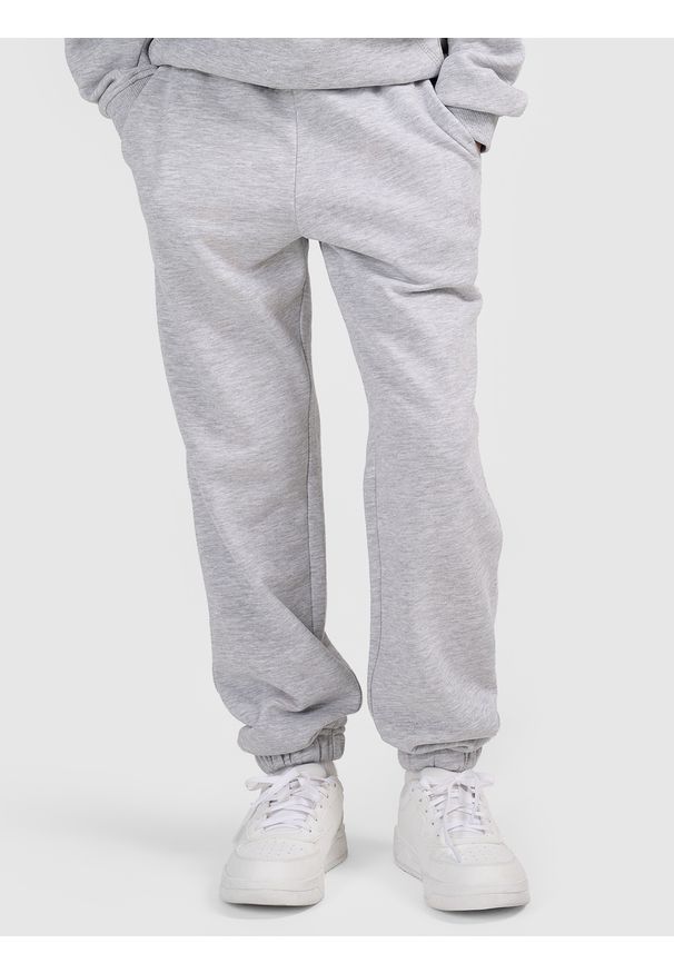 4f - 4F Spodnie dresowe joggery dziewczęce - szare 158 (12-13 lat). Okazja: na co dzień. Kolor: szary. Materiał: dresówka. Sezon: lato. Styl: casual