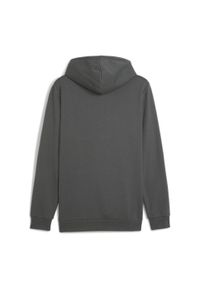 Puma - Bluza męska PUMA Essentials Big Logo Hoodie FL. Typ kołnierza: kaptur. Kolor: szary. Sport: fitness #2