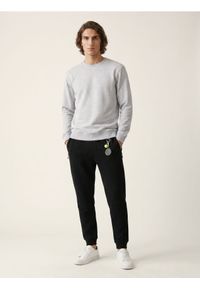 Sinsay - Bluza crewneck basic z domieszką bawełny - szary. Kolor: szary. Materiał: bawełna #1