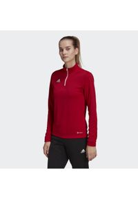 Bluza piłkarska damska Adidas Entrada 22 Training Top. Kolor: czerwony. Sport: piłka nożna #1