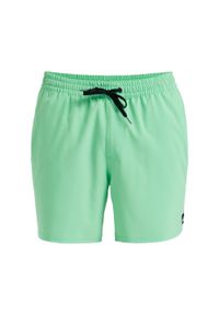 Quiksilver - Szorty kąpielowe dla Mężczyzn SURFSILK SOLID 16" Zielony. Kolor: zielony. Materiał: elastan, poliester, materiał. Styl: sportowy