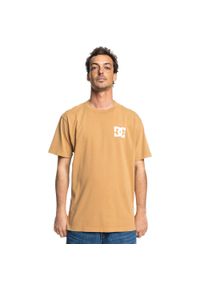 DC Shoes - Koszulka z krótkim rękawem dla Mężczyzn LINE UP Brązowy. Kolor: brązowy. Materiał: materiał, bawełna. Długość rękawa: krótki rękaw. Długość: krótkie