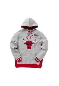 Mitchell & Ness - Bluza z kapturem Chicago Bulls. Typ kołnierza: kaptur. Kolor: szary. Sport: koszykówka #1