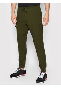 Polo Ralph Lauren Spodnie dresowe 710860590004 Zielony Regular Fit. Kolor: zielony. Materiał: bawełna, dresówka, syntetyk #1