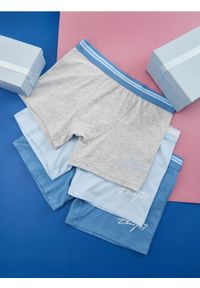 Sinsay - Bokserki 3 pack - wielobarwny. Materiał: bawełna, włókno
