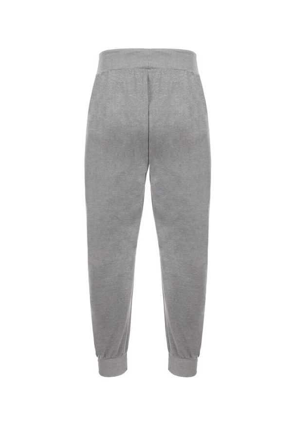 Born2be - Szare Spodnie Dresowe Lasthaia. Okazja: na co dzień. Kolekcja: plus size. Kolor: szary. Materiał: dresówka. Wzór: gładki. Styl: sportowy, casual