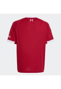 Adidas - Koszulka piłkarska dla dzieci ADIDAS Liverpool FC sezon 25/26 domowa. Sport: piłka nożna