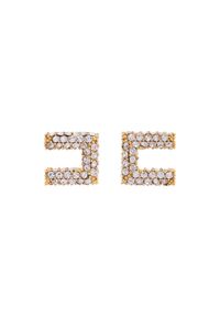 Elisabetta Franchi Kolczyki OR-01A-56E2-V150 Złoty. Materiał: metalowe. Kolor: złoty
