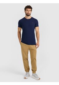 4f - 4F Spodnie dresowe joggery męskie - beżowe 3XL. Kolor: beżowy. Materiał: dresówka. Sport: turystyka piesza, fitness #1