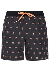 Protest - Szorty plażowe męskie PROTEST PRTParco. Kolor: czarny, szary, wielokolorowy #1