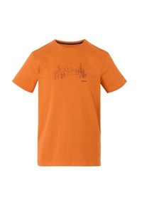Regatta - Koszulka turystyczna męska Breezed V. Kolor: pomarańczowy. Sport: turystyka piesza #1